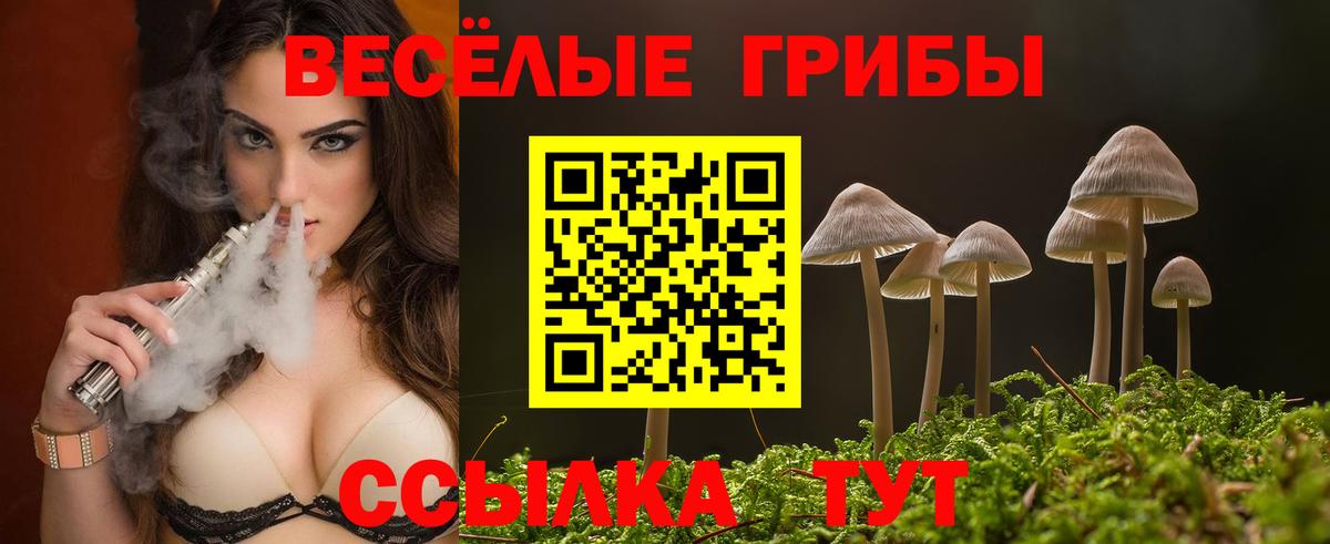 Галлюциногенные грибы ЛСД  Вход с VPN  Псилоцибиновые грибы мухоморы  Новоалександровск 