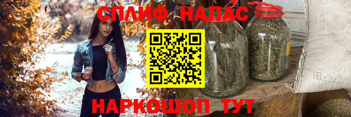 Конопля сатива Новоалександровск